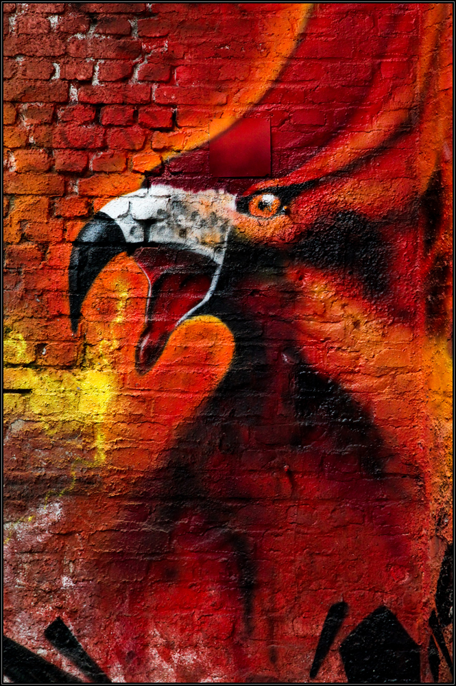 Kunst ist, wenn Mann`$ Macht XXIV - Düsseldorf